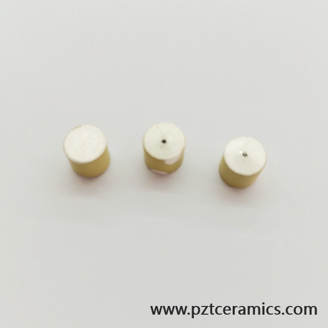 Piezoelectric Ceramic Sensor Piezo Transducer China Manufacturer Customized Products