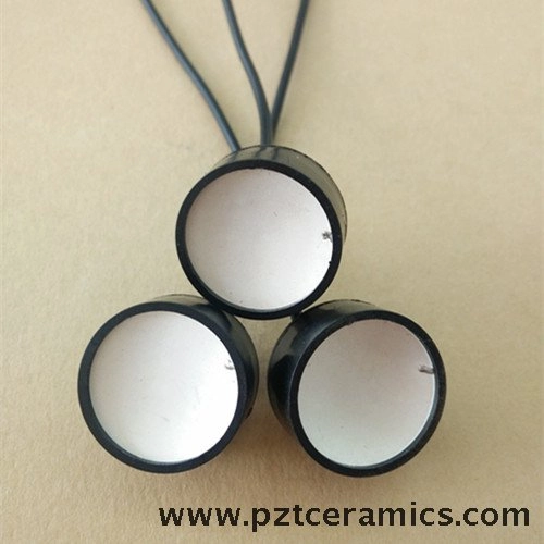 Ultrasonic Focused Sensor Ultrasonic Scan