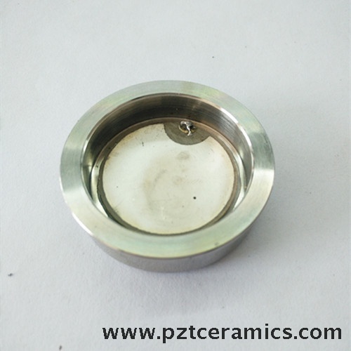 Ultrasonic Beauty Instrument