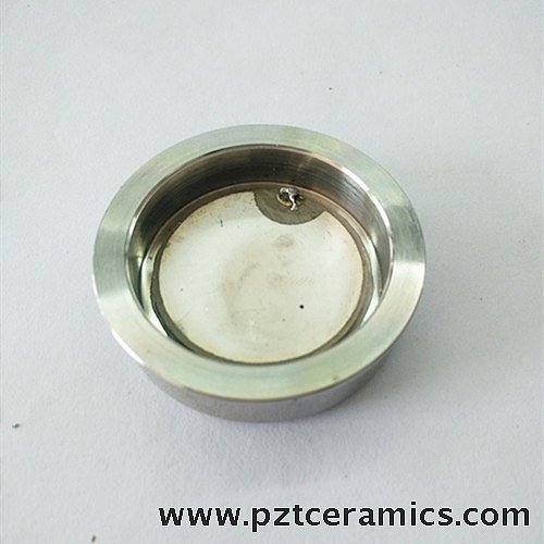 Ultrasonic Beauty Instrument