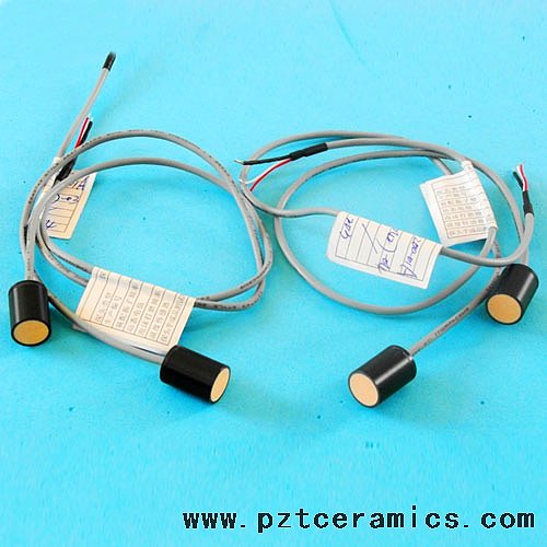 Piezoelectric ceramic transducer for medical treatment PZT Ceramics Manufacturer