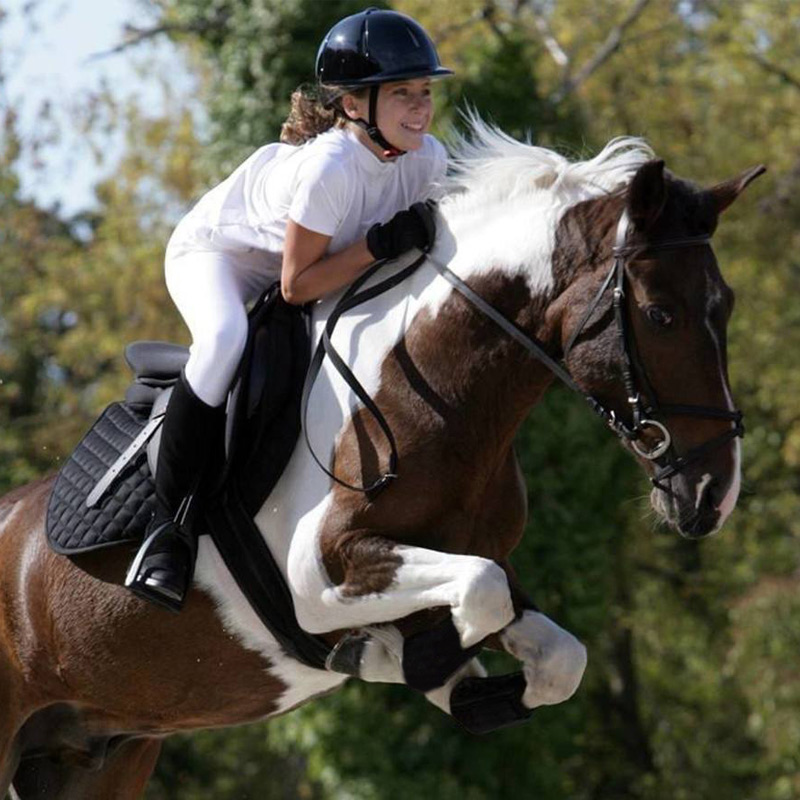 Horse leg guards, protective covers for horse legs