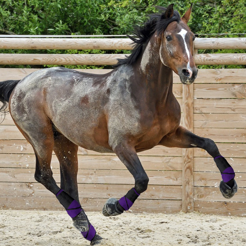 Horse leg guards, protective covers for horse legs