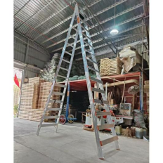 Extended walking aluminum ladder