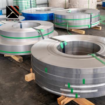 310 Stainless Strip
