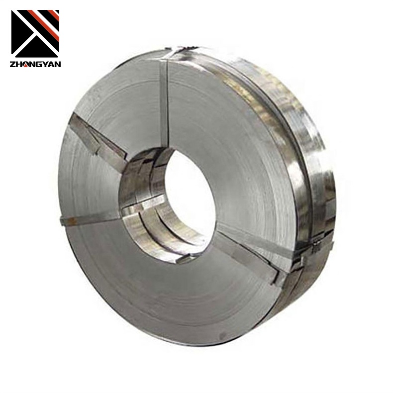 310 Stainless Strip