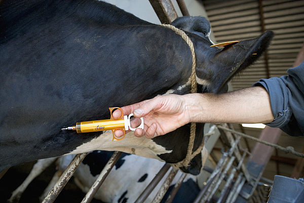 Materie Farmaceutiche