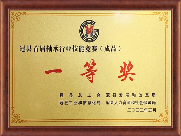 HONORARY QUALIFICATIONS