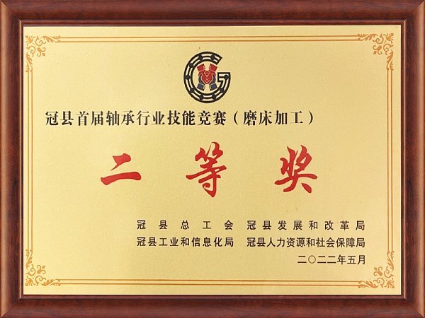HONORARY QUALIFICATIONS