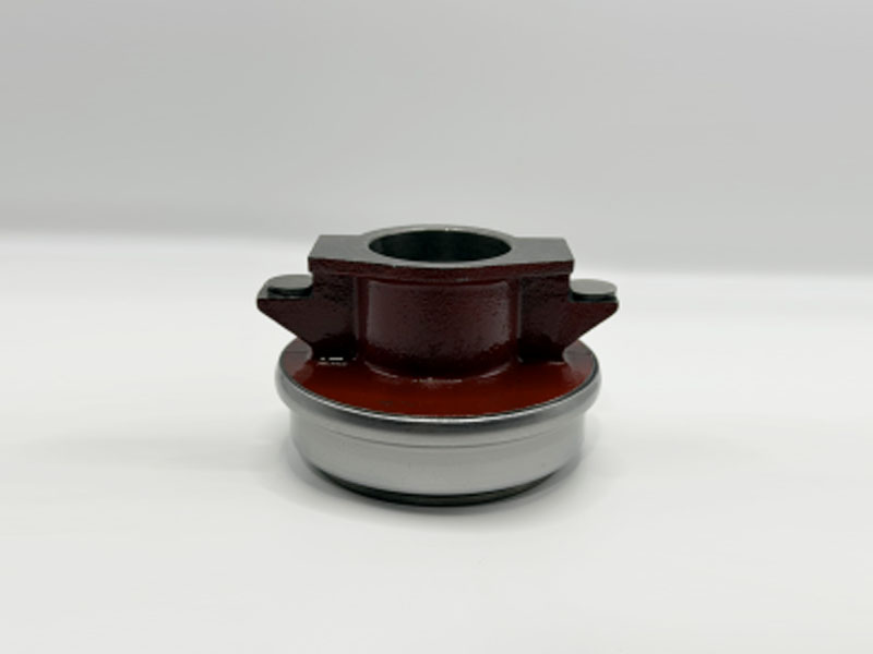81NZ4821