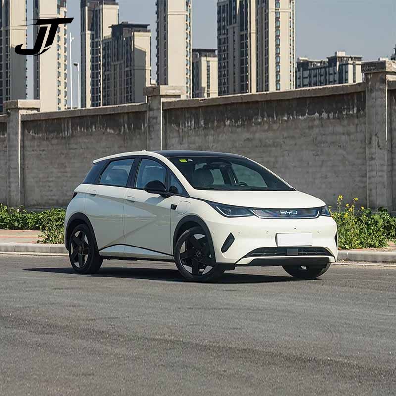 2025 BYD Dolphin 520km