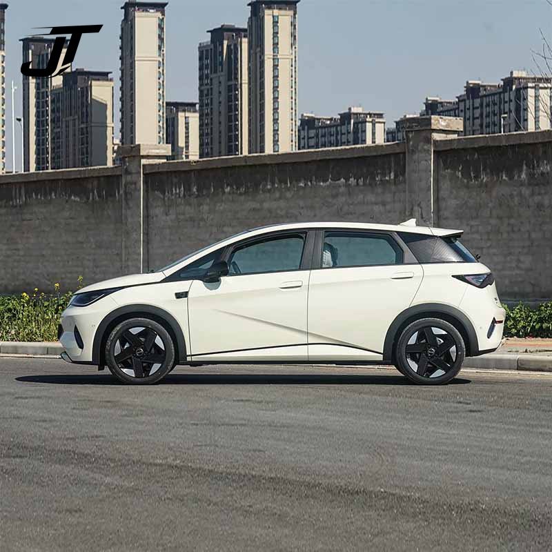 2025 BYD Dolphin 520km