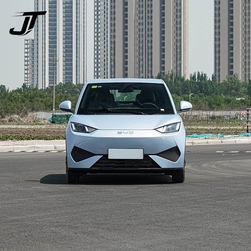 2025 BYD ATTO1/DOLPHIN MINI/Seagull 305km