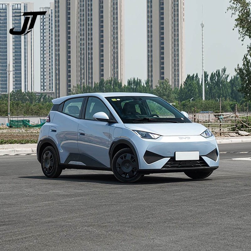 2025 BYD ATTO1/DOLPHIN MINI/Seagull 305km