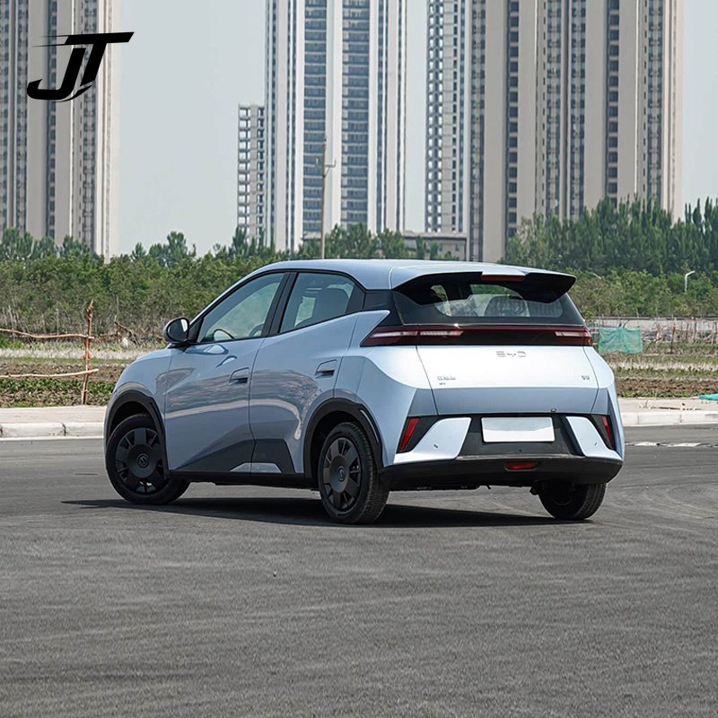 2025 BYD ATTO1/DOLPHIN MINI/Seagull 305km
