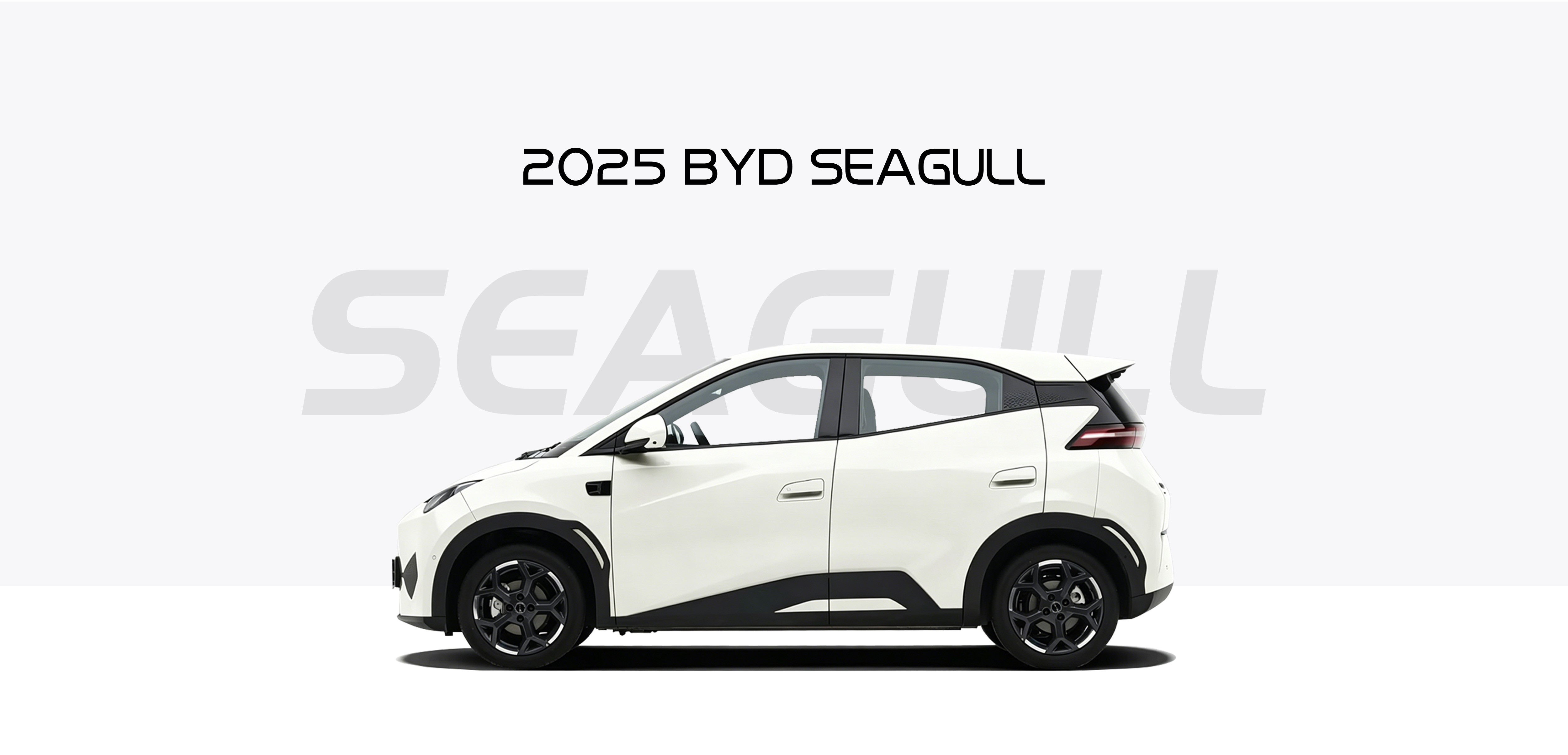 2025 BYD ATTO1/DOLPHIN MINI/Seagull 305km 2025 BYD ATTO1/DOLPHIN MINI/Seagull 305km