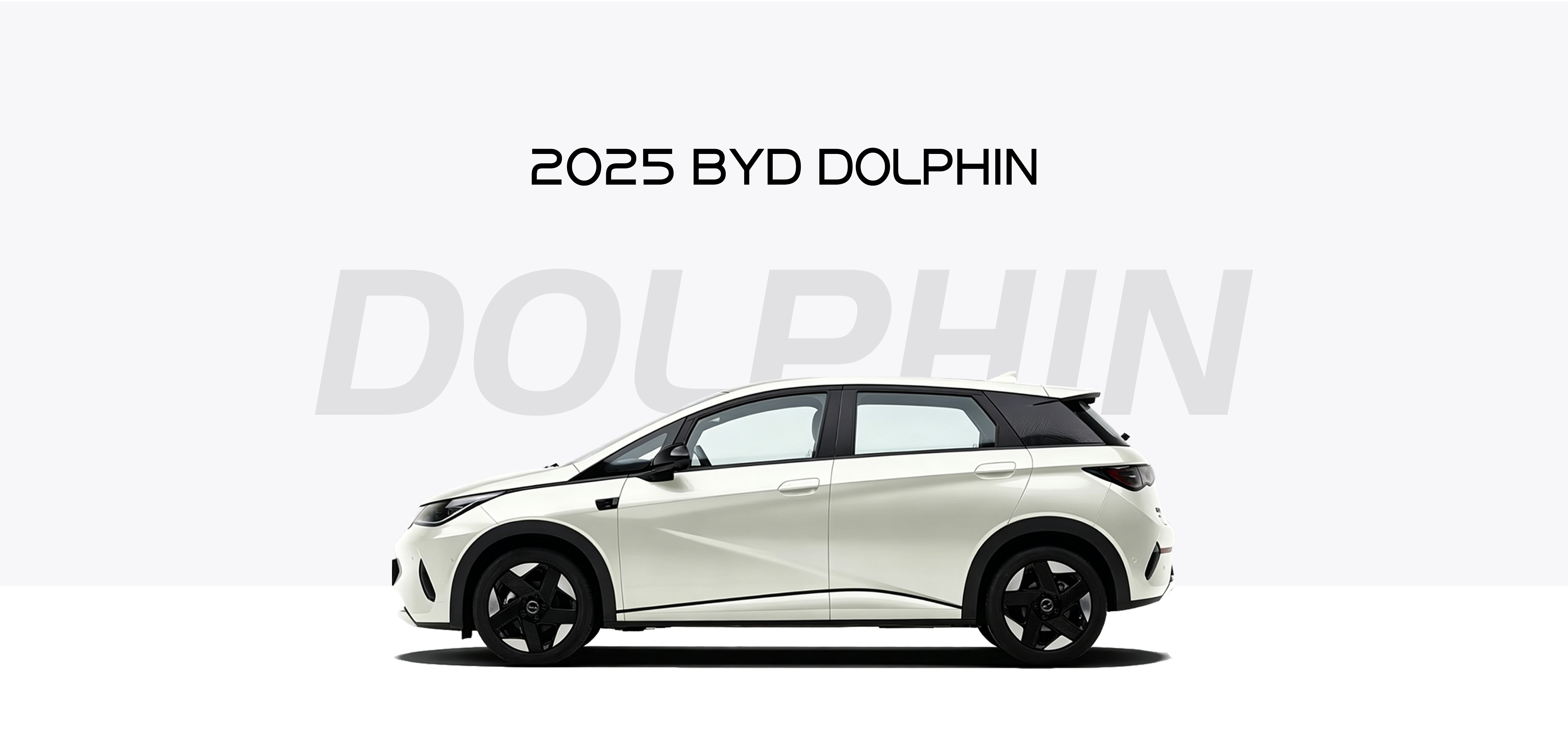 2025 BYD Dolphin 520km