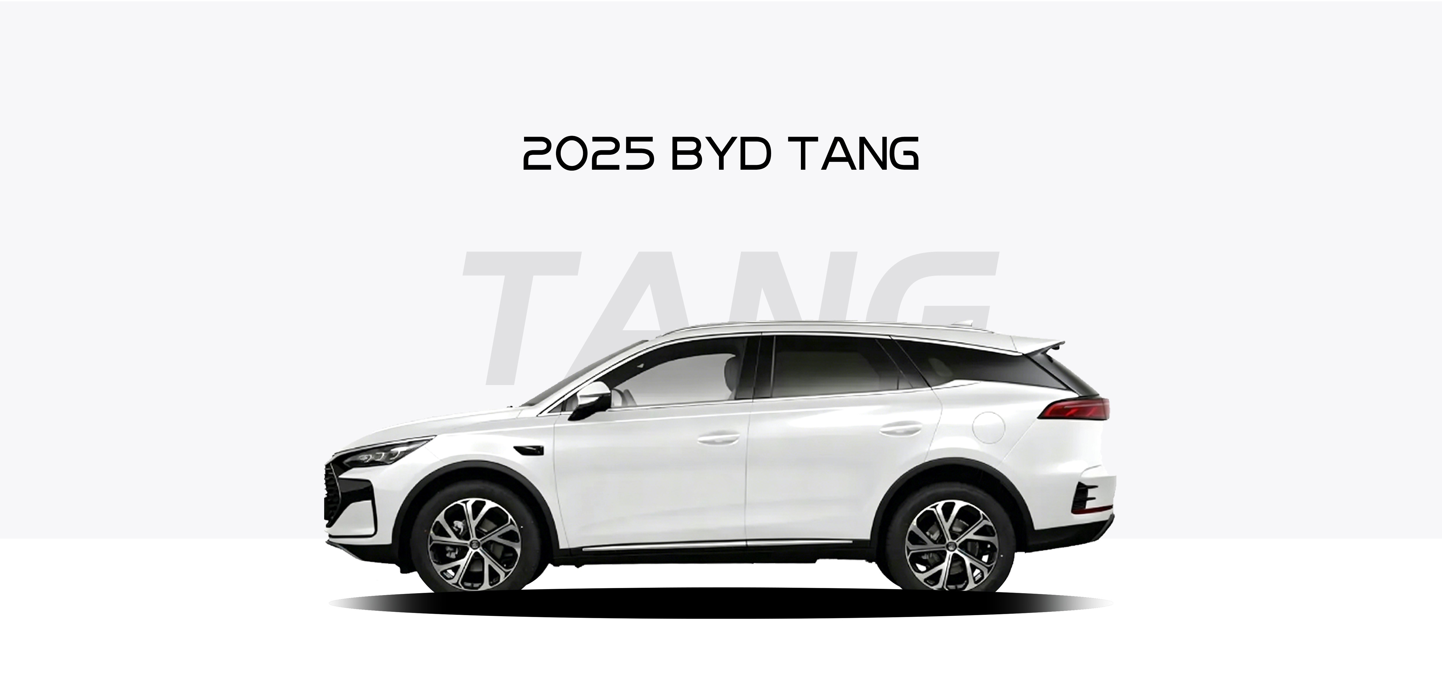 2025 BYD Tang New Energy DM-i 115KM