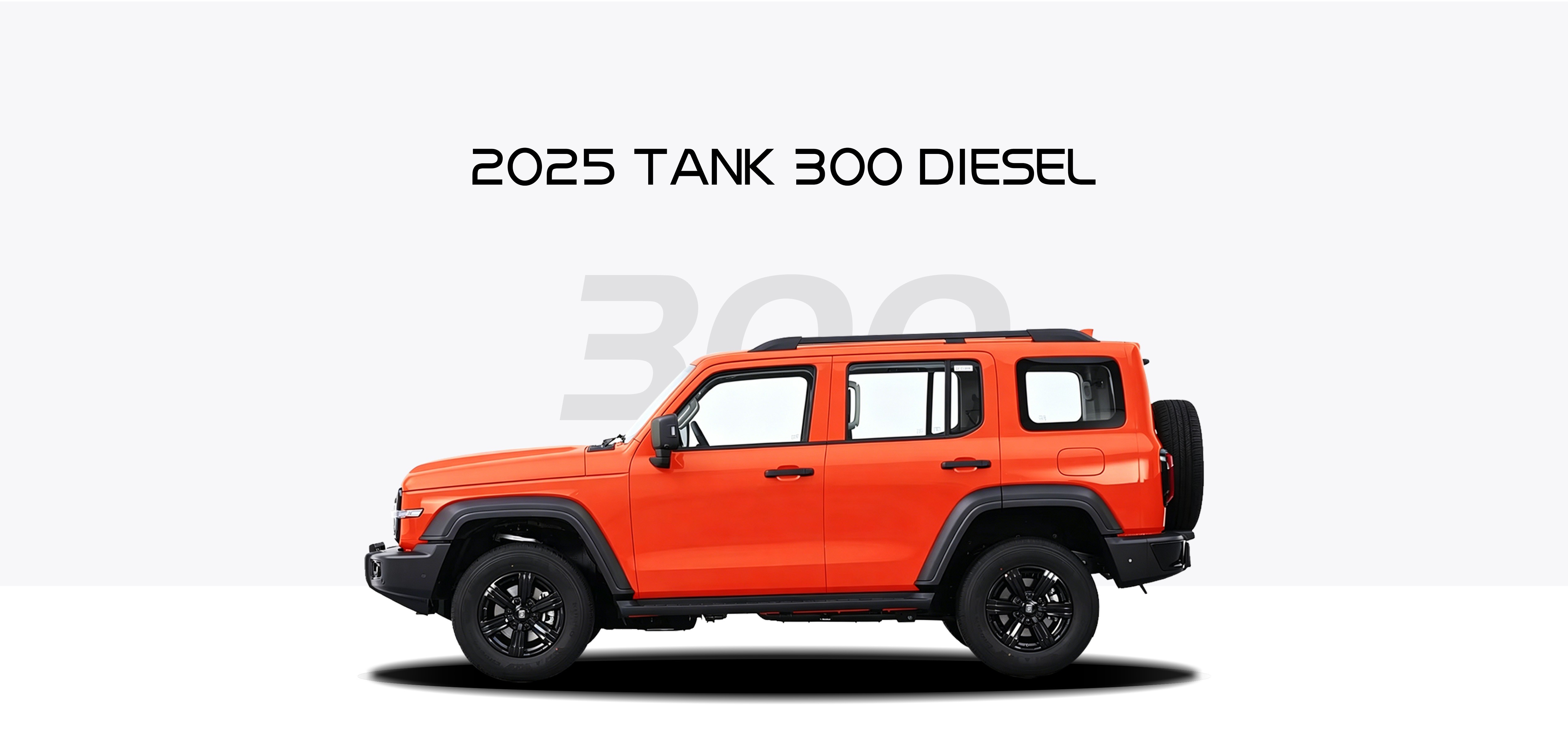 2025 Tank 300 2.4T Diesel 2025 Tank 300 2.4T Diesel