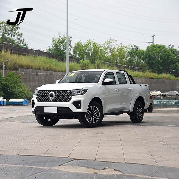 2026 P-Series Commercial/GWM Cannon 2.0T Automatic Diesel 2WD