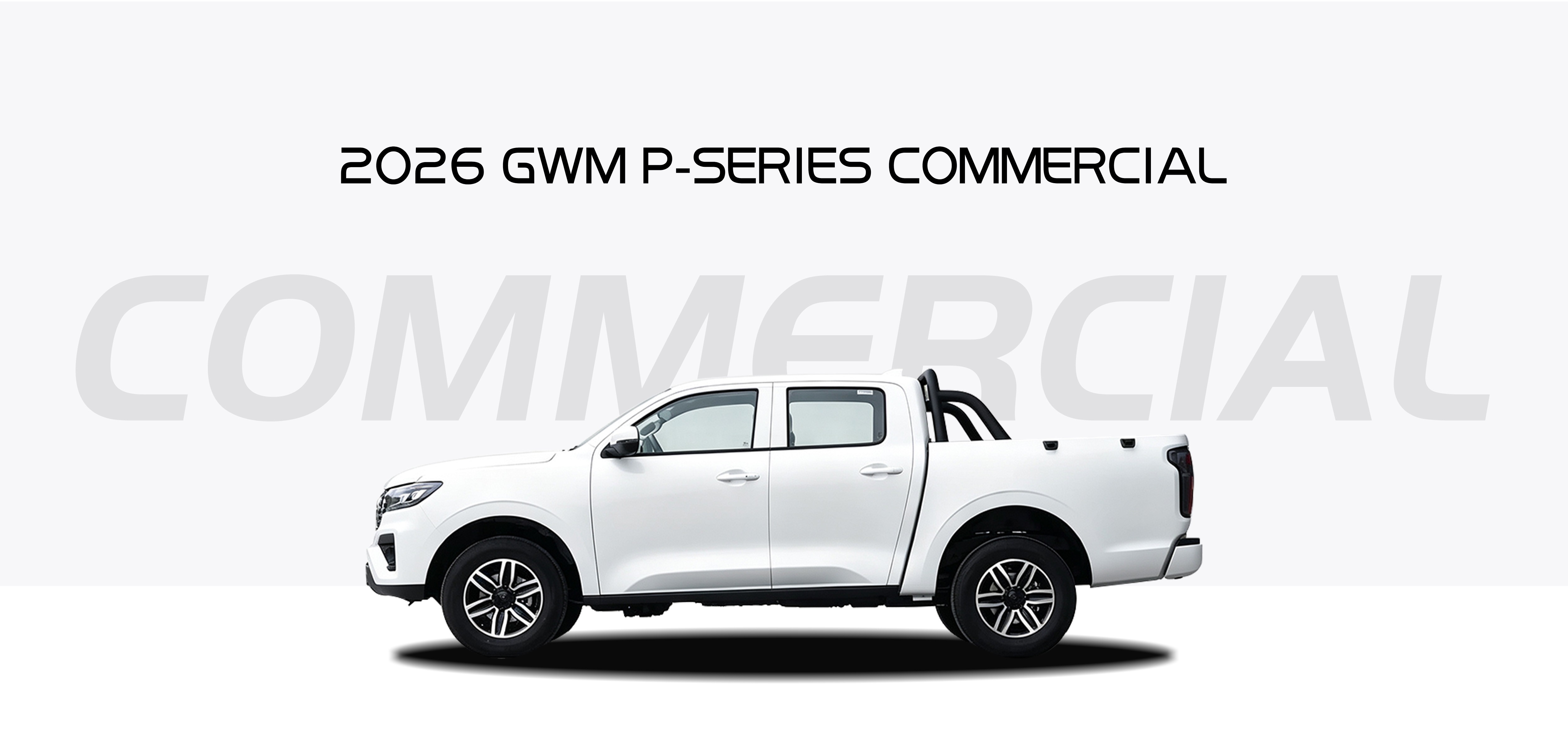 2026 P-Series Commercial/GWM Cannon 2.0T Automatic Diesel 2WD