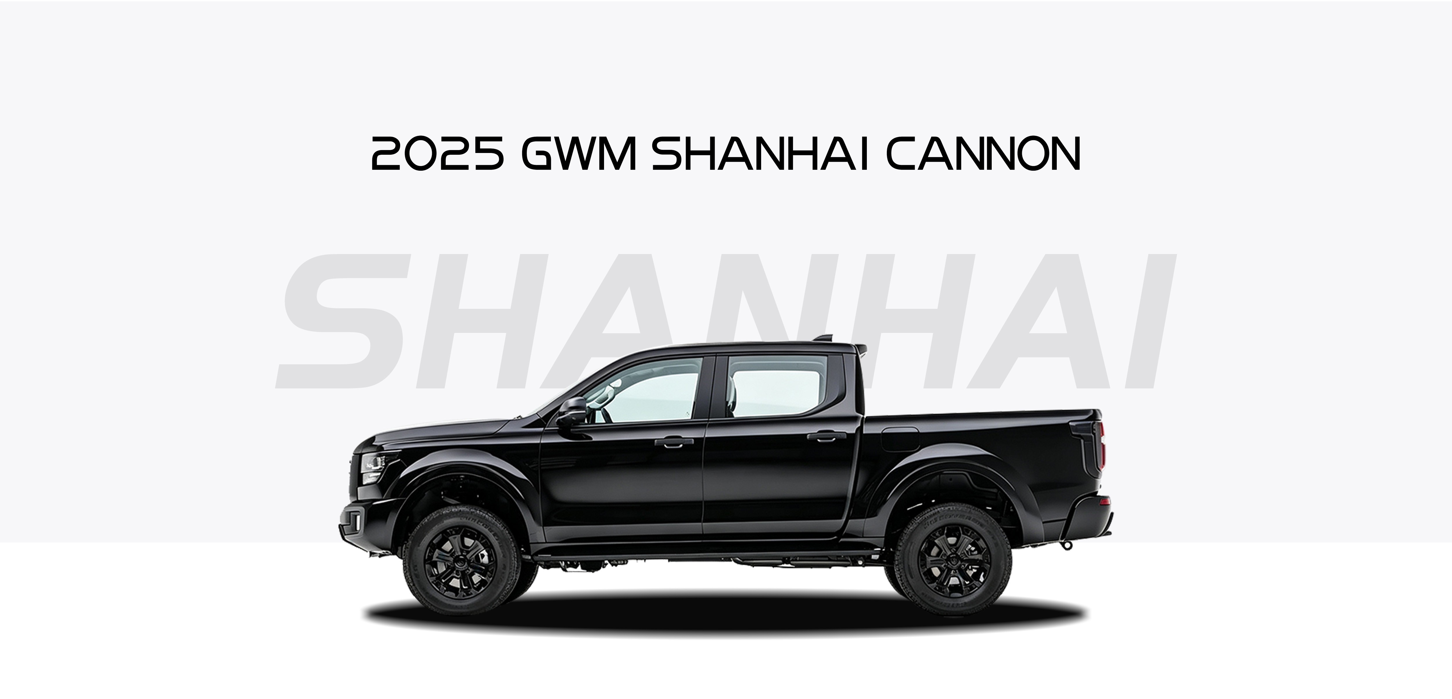 2025 GWM Cannon Alpha/Poer Sahar/P500/Shanhai Cannon 2.4T
