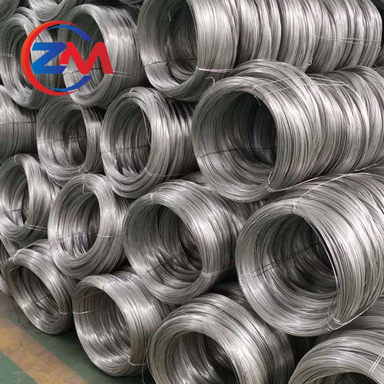 Stainless Steel Wire