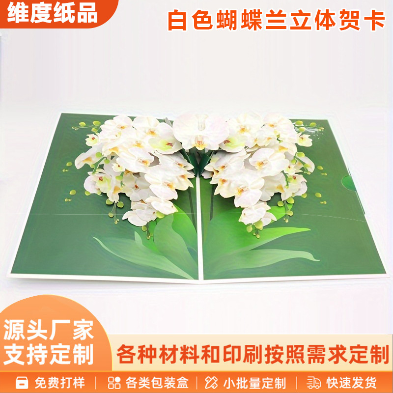 Creative White Phalaenopsis Orchid Stand