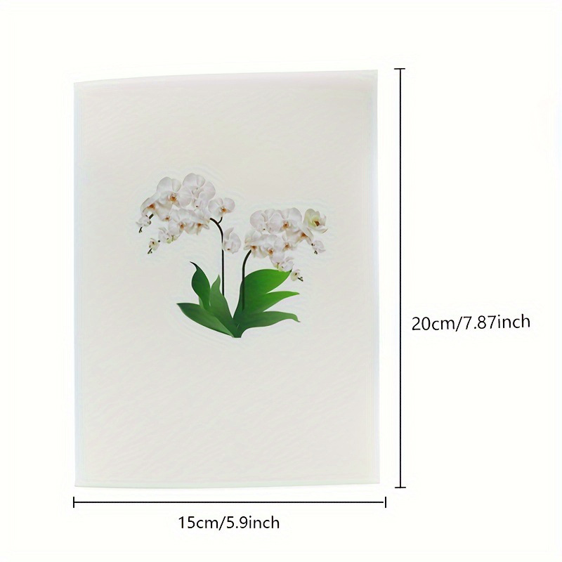 Creative White Phalaenopsis Orchid Stand