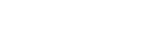 logo -white