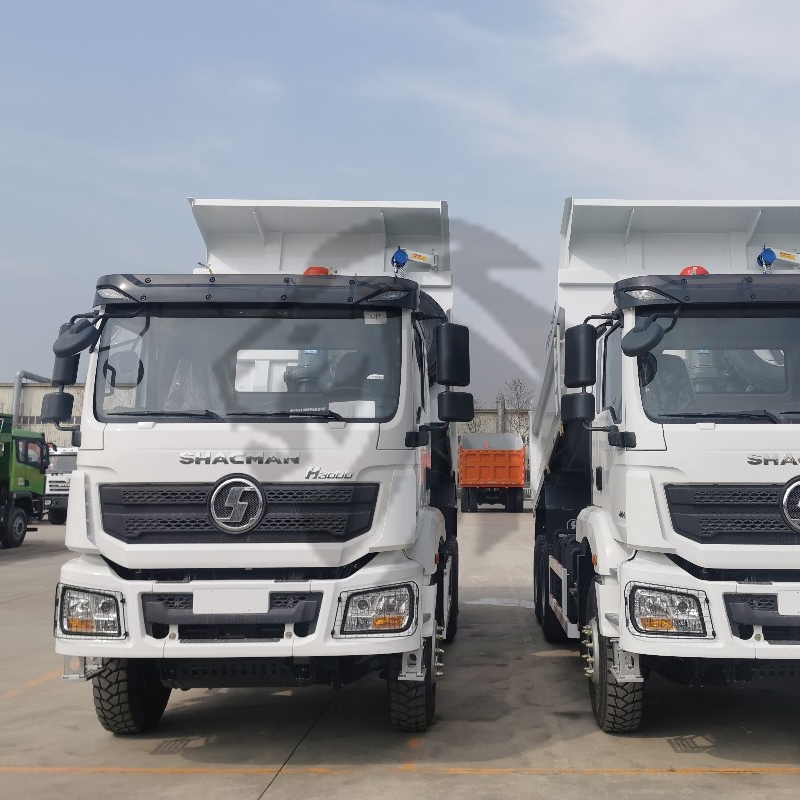 Shacman H3000 380HP 6x4 10 roues 30 tonnes de charge utile camion-benne de 20 mètres cubes