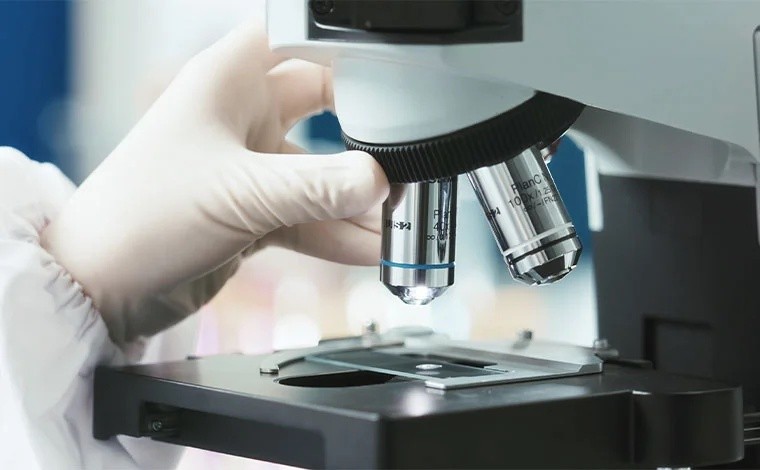 Food Inspection