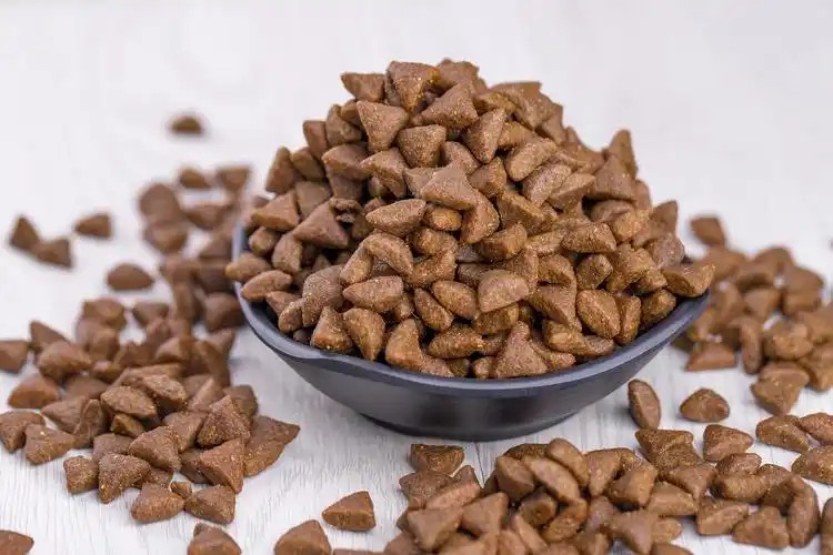 OEM/ODM cat food full-service customization