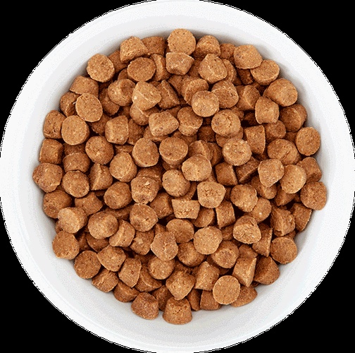 All-Life-Stage Cat Food