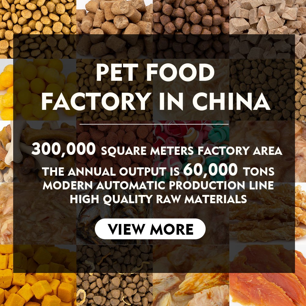 Professional manufacturer of high-quality dog ​​food