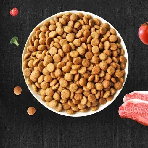 Dog food