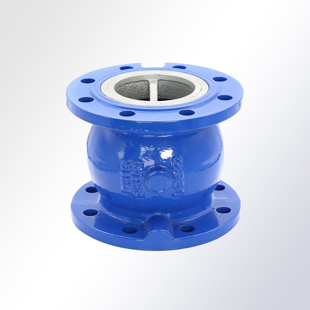 Silent Check Valve Flanged Ends PN16