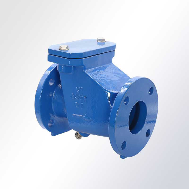 Swing-Check-Valve-1