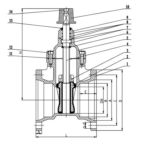 AWWA-C515-NRS-Resilient-Seated-Gate-Valve,-Mechanical-Joint-2