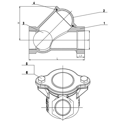 Ball-Check-Valve-Thread-Ends-2