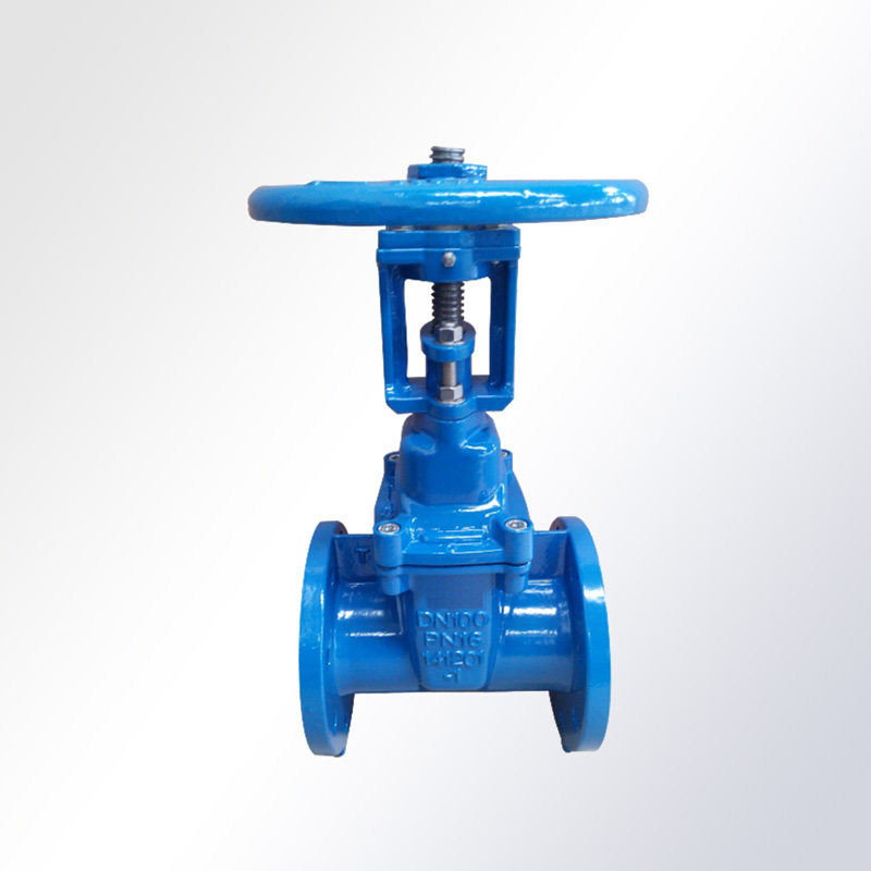 OS&Y-Resilient-Seated-Gate-Valve-PN10-1