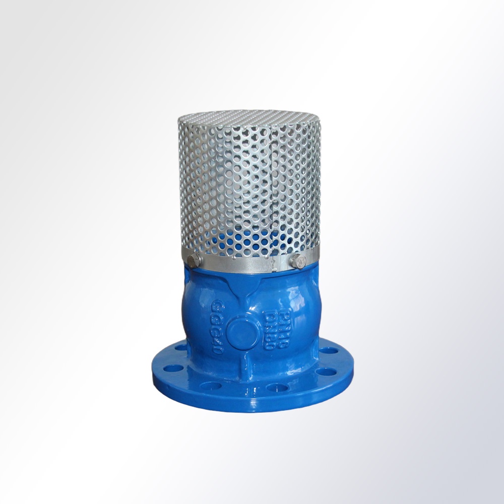 Foot Valve Flanged Ends PN16