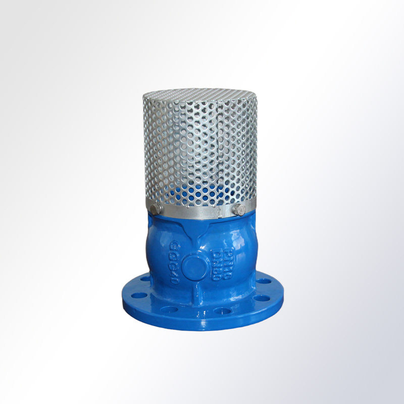 Foot-Valve-Flanged-Ends-PN16-1