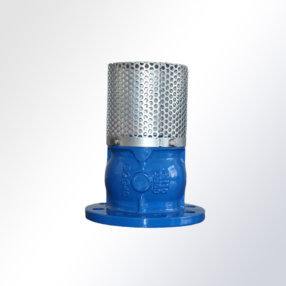 Foot Valve Flanged Ends PN16