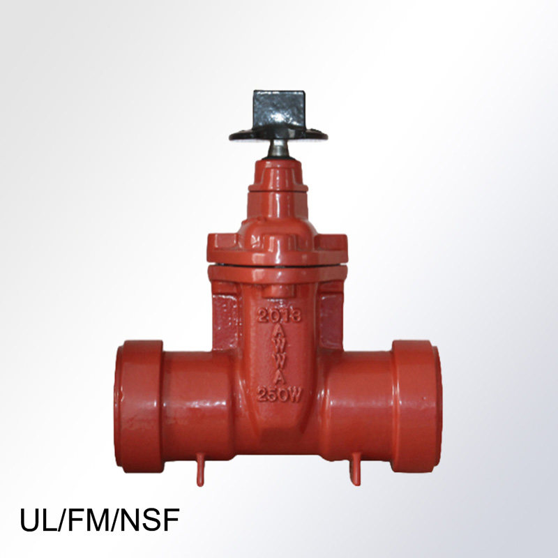 AWWA-Resilient-Seated-Gate-Valve,Push-on-Ends-1