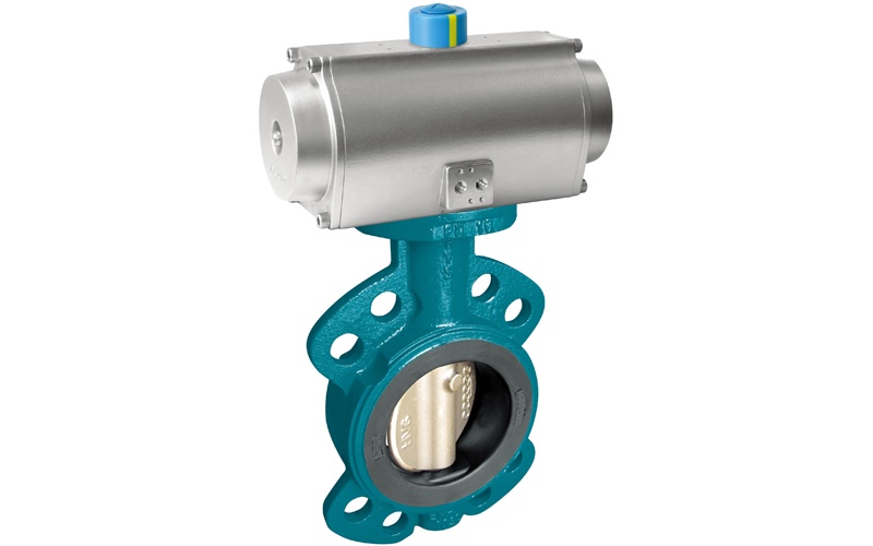 Lug Butterfly Valve