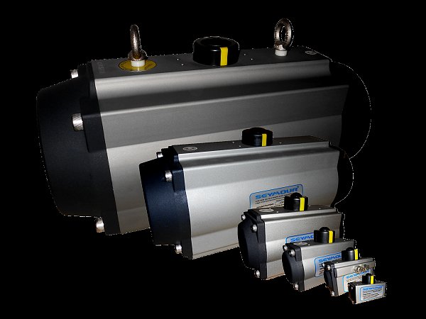 Pneumatic Actuator