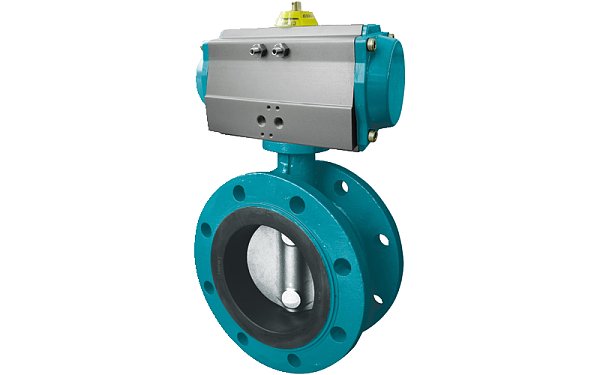 Flange Butterfly Valve