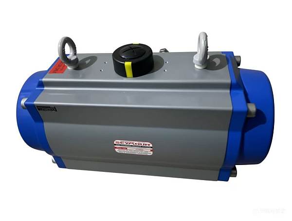 Pneumatic Actuator
