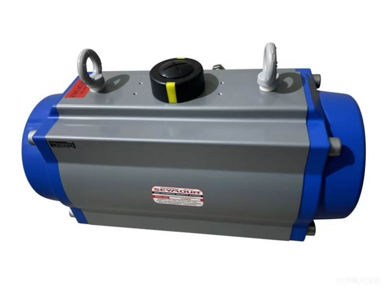 Pneumatic Actuator
